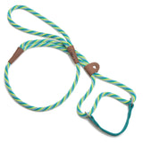 Mendota Dog Walker - Small 3/8 INCH