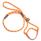 Mendota Dog Walker - Small 3/8 INCH