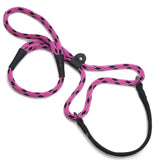Mendota Dog Walker - Large 1/2 INCH