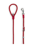 Leisure Collar & Slip Leash