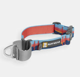 Web Reaction™ Martingale Dog Collar With Buckle