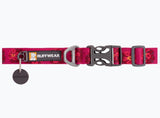Flat Out™ Dog Collar