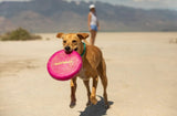 Camp Flyer™ Flying Disc