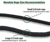 Mendota Pet Slip Leash - Dog Lead and Collar Combo - Made in The USA