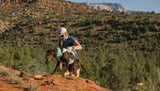 Swamp Cooler™ Dog Cooling Harness