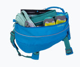 Approach™ Dog Backpack