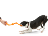 Bumi Tug Toy
