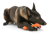 Hurley Dog Bone Chew Toy