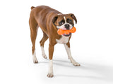 Rumpus Dog Chew Toy