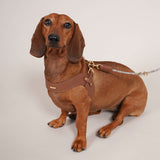 Metro Petite Dog Leather Harness