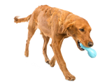 Qwizl Treat Toy