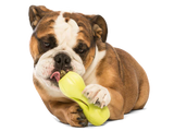 Qwizl Treat Toy