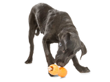 Qwizl Treat Toy