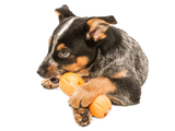 Qwizl Treat Toy