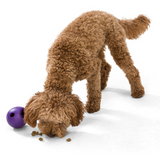 Rumbl Treat Toy