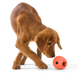 Rumbl Treat Toy