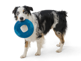 Sailz Seaflex Flying Disc