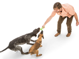 Skamp Dog Fetch Toy