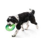Sailz Seaflex Flying Disc