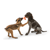 Skamp Dog Fetch Toy
