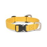 Strolls Hemp Dog Collar