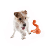 Tizzi Multi-Purpose Dog Toy