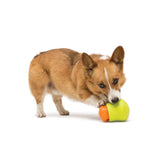 Toppl Dog Treat Toy