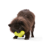 Tux Treat Toy
