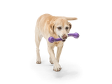 Zwig Dog Tug Toy