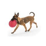 Zisc Flying Disc Dog Toy