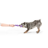 Zwig Dog Tug Toy