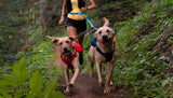Double Track™ Coupler Leash