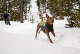 Climate Changer™ Dog Fleece