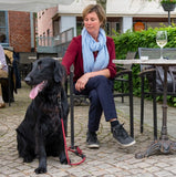 Metro Hands Free Shoulder Dog Leash