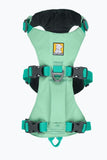Flagine™ Harness