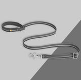 Crag™ Reflective Dog Leash