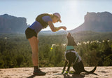 Swamp Cooler™ Cooling Neck Gaiter