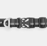 Web Reaction™ Martingale Dog Collar With Buckle