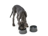 Seaflex™ No-Slip Bowl