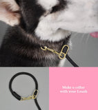Metro Collar & Slip Leash