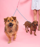 Leisure Coupler Leash