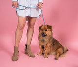 Leisure Coupler Leash