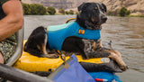 Float Coat™ Dog Life Jacket