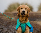 Sun Shower™ Dog Raincoat