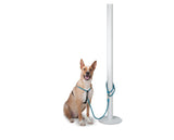 Leisure Parking & Tether Leash