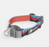 Web Reaction™ Martingale Dog Collar With Buckle