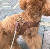 Metro Petite Dog Leather Harness