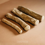 Canophera Natural Dog Chew Sticks made of coffee tree wood