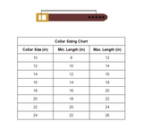 Leather Standard Collar - Chestnut