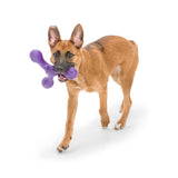 Skamp Dog Fetch Toy